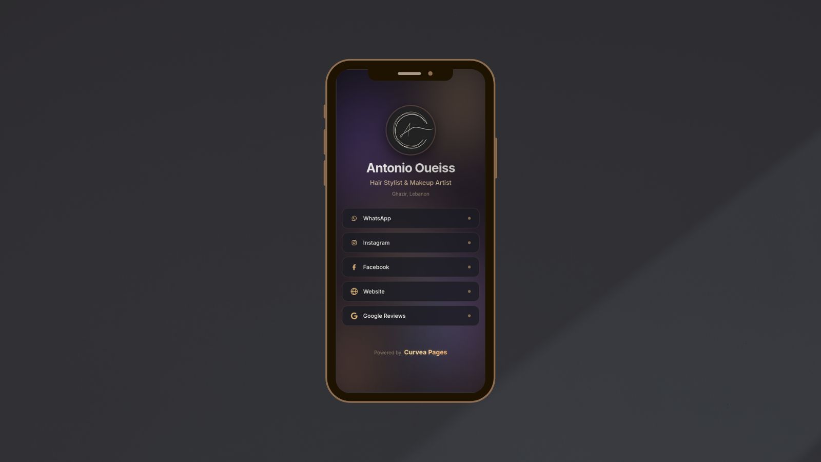 Antonio Oueiss Salon project proof